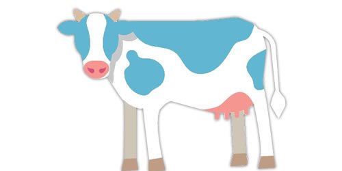 cow